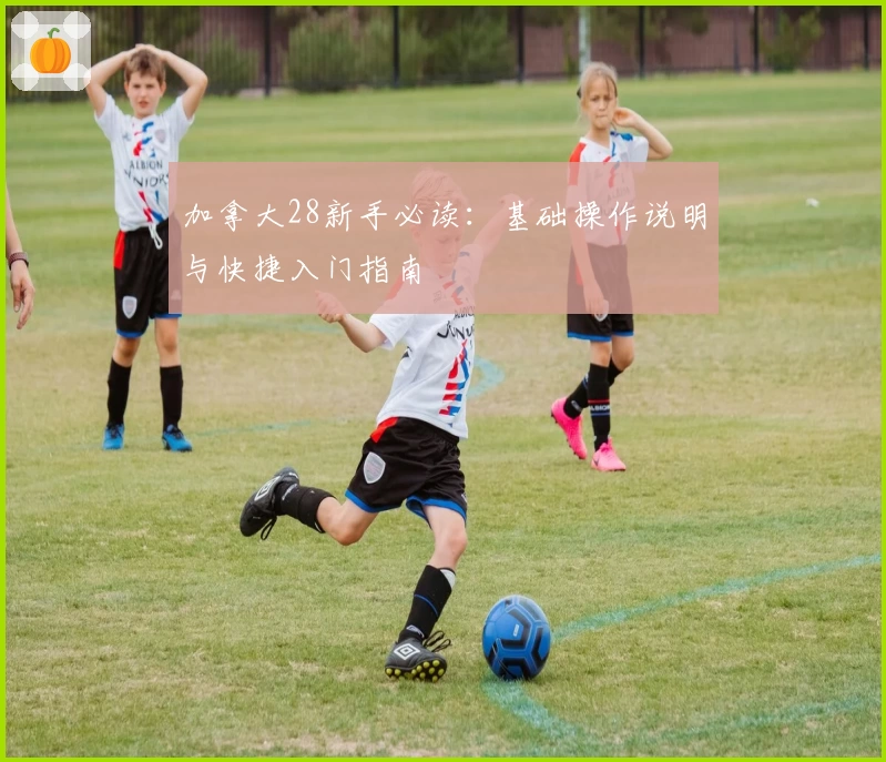 加拿大28新手必读：基础操作说明与快捷入门指南