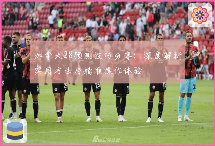 加拿大28预测技巧分享：深度解析实用方法与精准操作体验