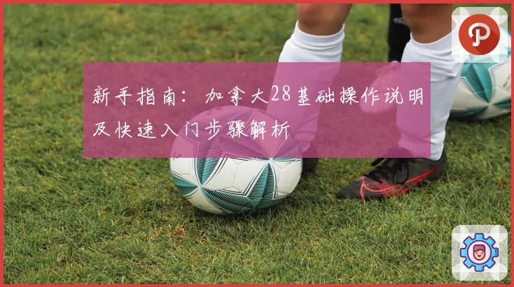 新手指南：加拿大28基础操作说明及快速入门步骤解析