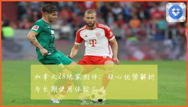 加拿大28玩家测评：核心优势解析与长期使用体验汇总