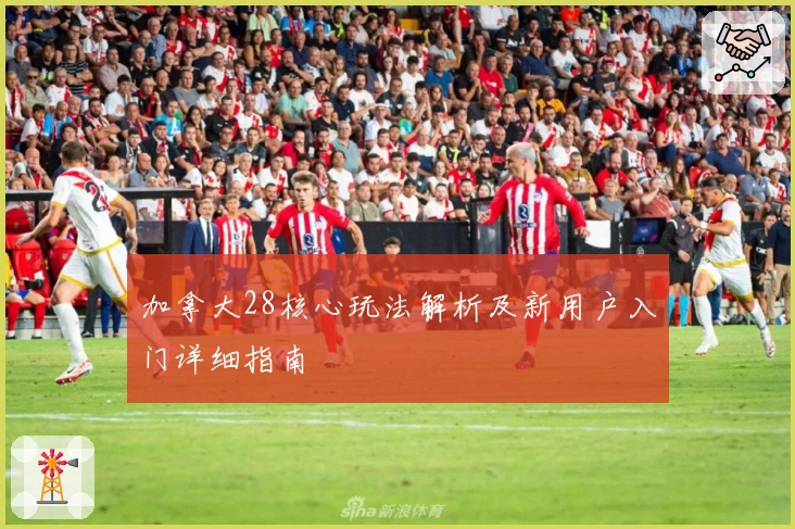 加拿大28核心玩法解析及新用户入门详细指南