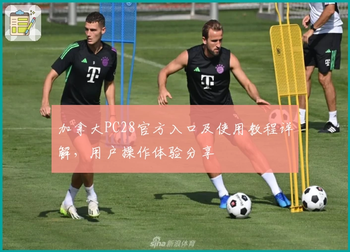 加拿大PC28官方入口及使用教程详解，用户操作体验分享