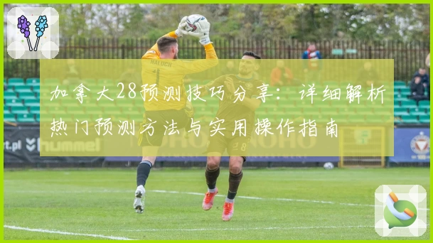 加拿大28预测技巧分享：详细解析热门预测方法与实用操作指南