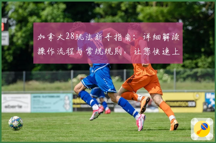 加拿大28玩法新手指南：详细解读操作流程与常规规则，让您快速上手