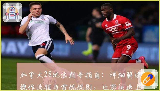 加拿大28玩法新手指南:详细解读操作流程与常规规则,让您快速上手