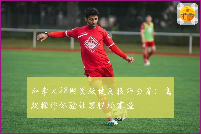 加拿大28网页版使用技巧分享：高效操作体验让您轻松掌握