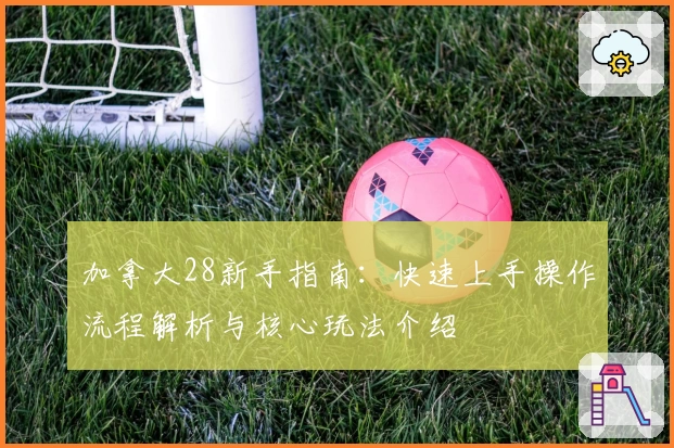 加拿大28新手指南：快速上手操作流程解析与核心玩法介绍