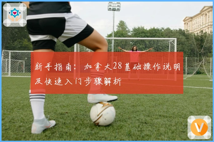 新手指南：加拿大28基础操作说明及快速入门步骤解析