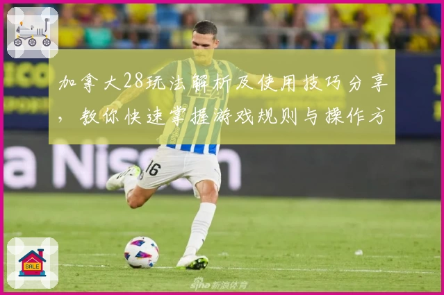 加拿大28玩法解析及使用技巧分享，教你快速掌握游戏规则与操作方法
