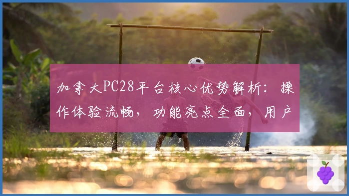 加拿大PC28平台核心优势解析：操作体验流畅，功能亮点全面，用户长期使用评价汇总